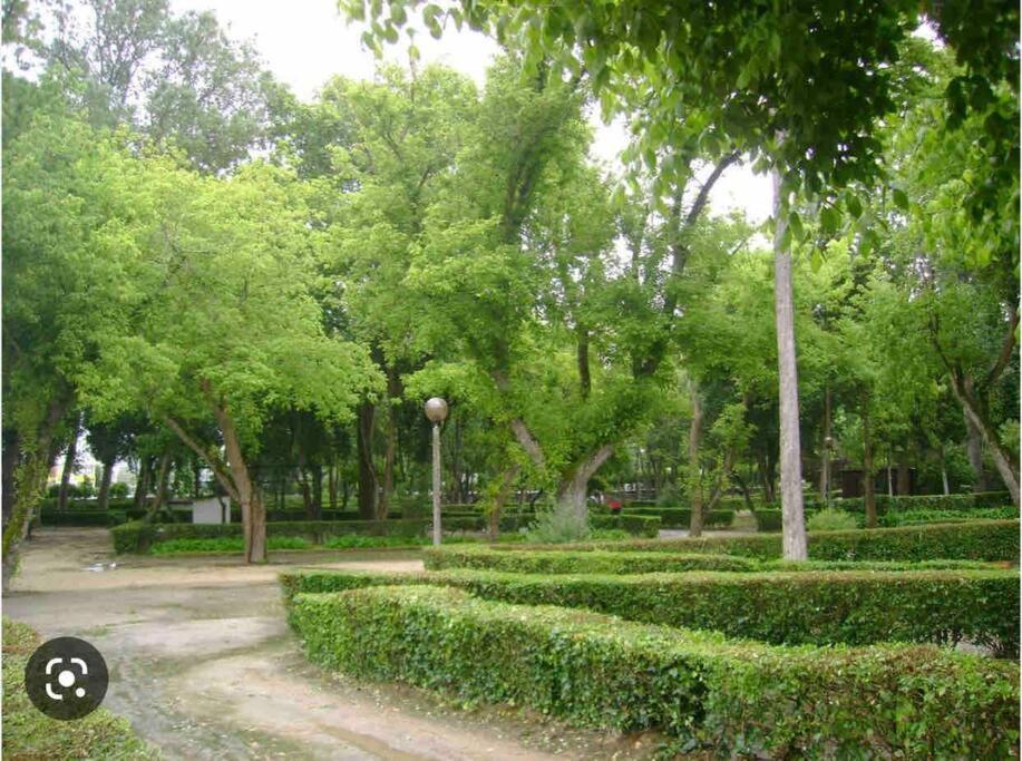 Easy Choice Home Коимбра Экстерьер фото